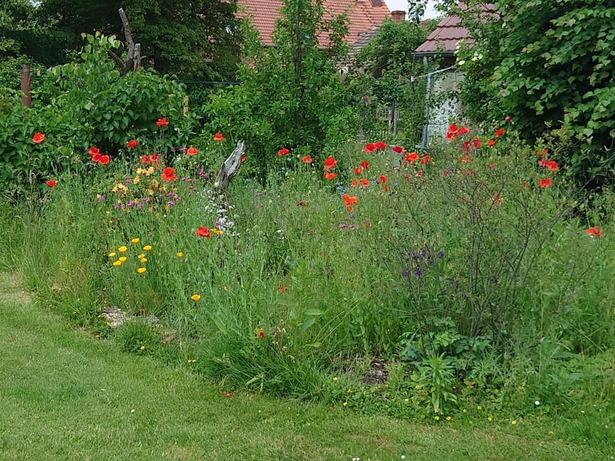 Ferienhof-Rietschen-Neuliebel Zewnętrze zdjęcie