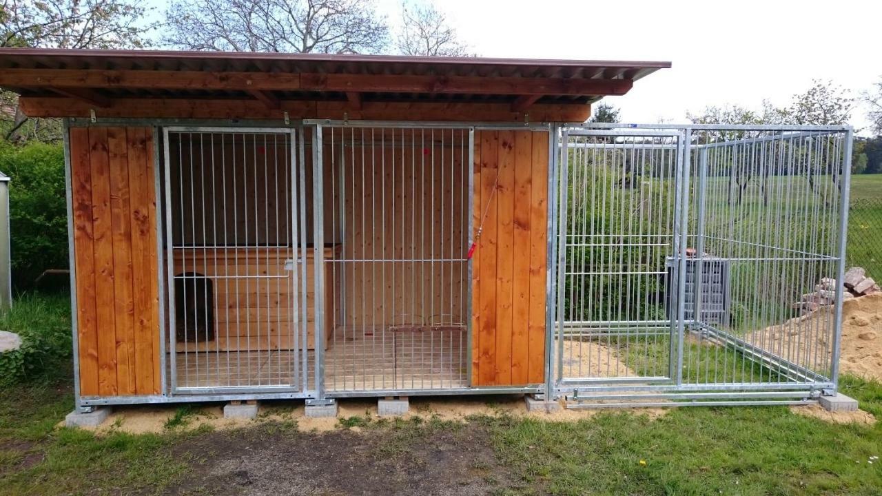 Ferienhof-Rietschen-Neuliebel Zewnętrze zdjęcie